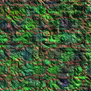 nature green AA37547.jpg