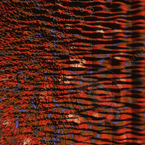 nature red AA37839.jpg