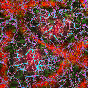 blue orange AA41711.jpg