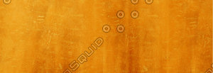 Carrot Skin Texture.jpg