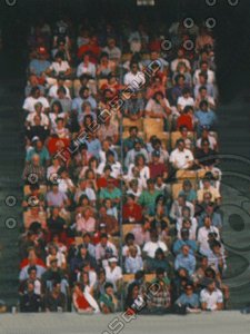 Crowd 256