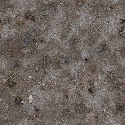  https://static.turbosquid.com/Preview/2014/08/01__12_04_02/GroundCover1a.tga_thumbnail.jpg96FEB24D-CCE9-46EF-A61EFE3B3497E366.jpgLarger.jpg