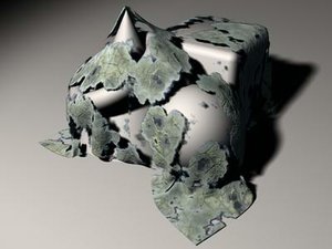 Lichen 2size