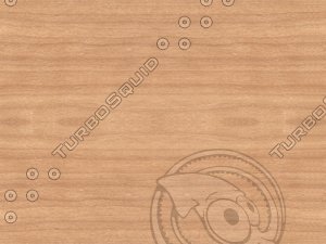 anegre_ek1