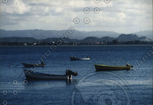 boats001.jpg