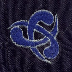 cloth_sn1a