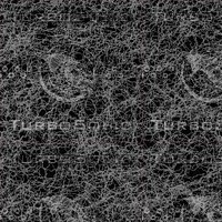 cobwebs.jpg