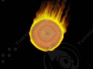 Flaming Carrot Slice-DV.avi