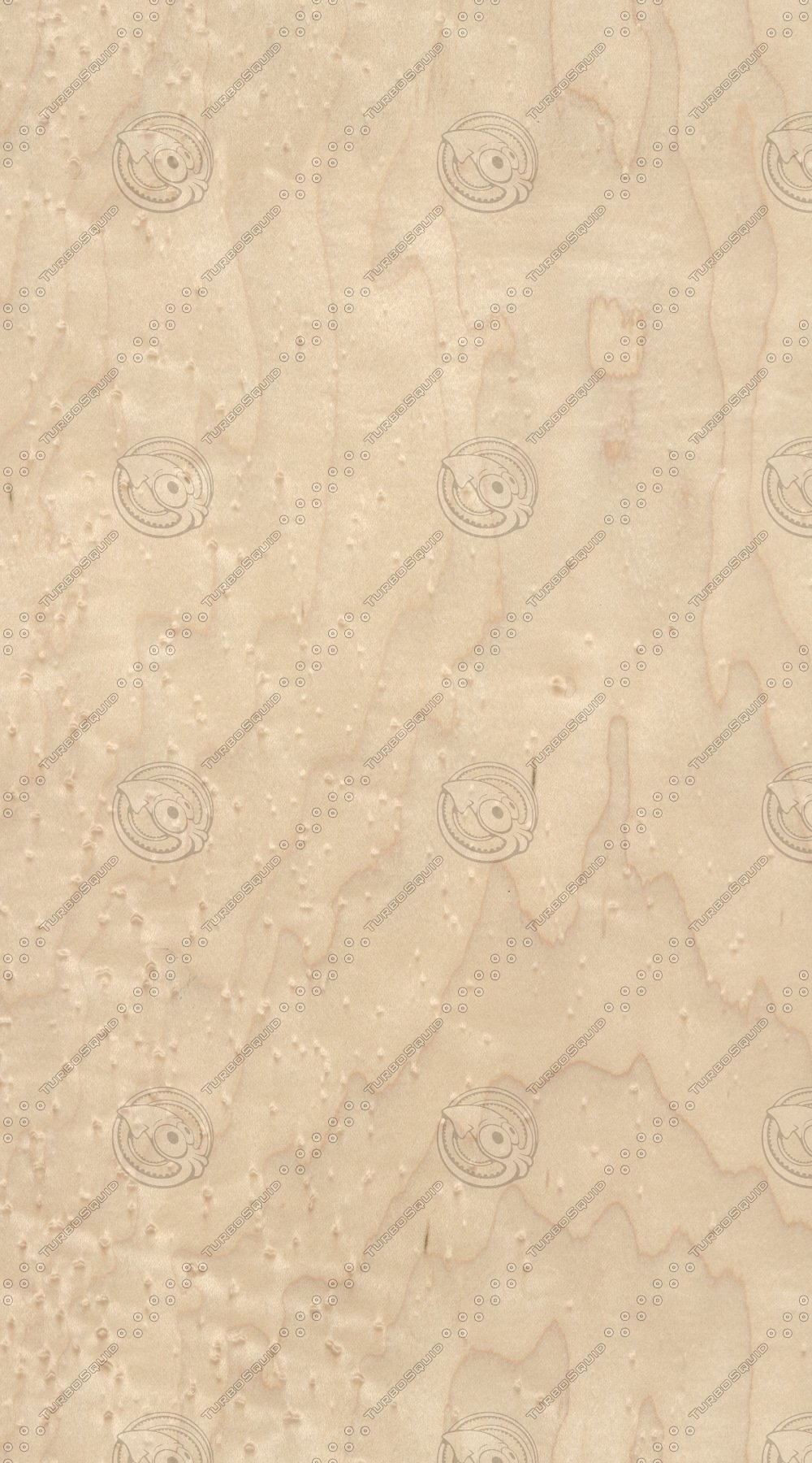 Maple Texture Map Texture JPEG Maple wood tree