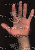 hand_palm.jpg