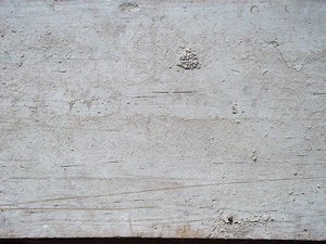 scratch_wood_dirt_DSC00302.jpg