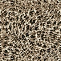  https://static.turbosquid.com/Preview/2014/08/01__12_04_02/snake3.jpg05E04AF6-5AC8-4F39-AD2674B2952477FB.jpgLarger.jpg