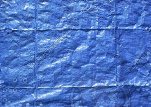 tarp03p.jpg