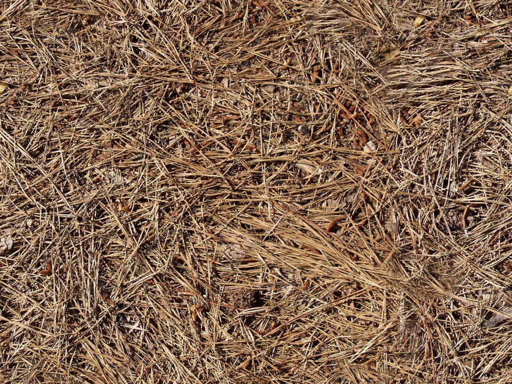 Texture JPEG straw pine DRS