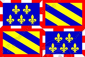 Texture GIF bourgogne old flag