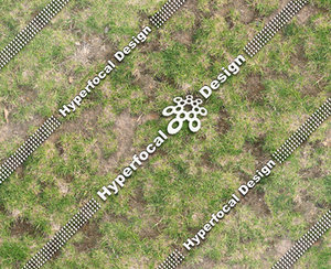 HFD_GrassPatchy01_Sml.jpg