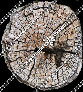 HFD_LogEnd02_Sml.jpg