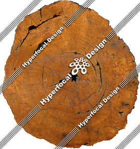 HFD_LogEnd01_Med.jpg
