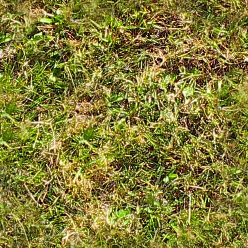 Texture JPEG mowed grass green