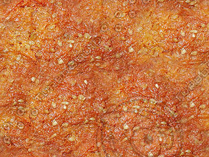 SPT_FrozenTomatos001