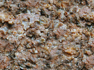 SPT_MeatLoaf001