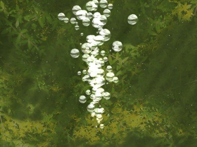  https://static.turbosquid.com/Preview/2014/08/01__12_25_23/bubbles-04.jpg6A251385-85D7-4141-8111B63BF8B234A8.jpgLarger.jpg