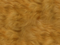 dog-hair-tile-free.jpg