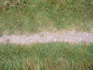 path1