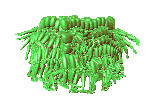 01-008.fbx