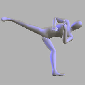 CLIP_FIGHT_SIDE_KICK.FBX