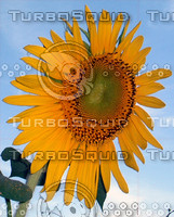 DSCF0007.JPG