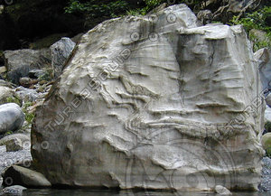 P1011549E.jpg