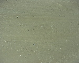 P7110033.JPG