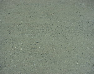 P7110034.JPG