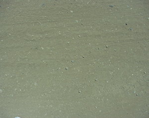 P7110035.JPG