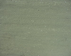 P7110037.JPG