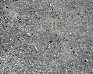 P7110040.JPG