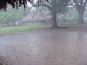 Rain.wav