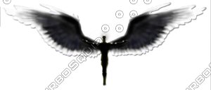 angel.psd