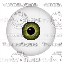 eyeball60