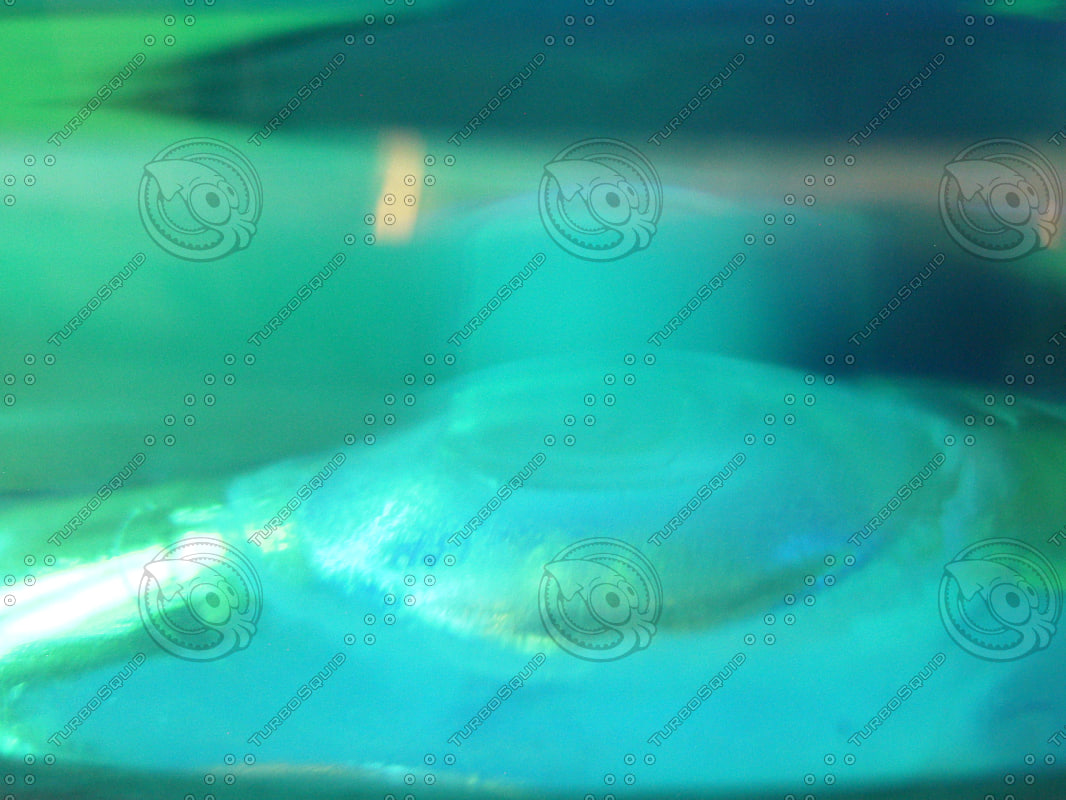 Texture JPEG light Background map