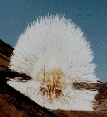  https://static.turbosquid.com/Preview/2014/08/01__12_43_11/standard_explosion.jpgE3C82E76-9541-490D-86CE4D4F7A3367DD.jpgLarger.jpg