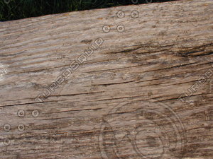 wood0269.jpg