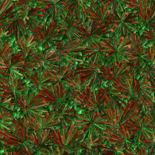 Bloom Effect Texture Texture JPEG bloom detailed large