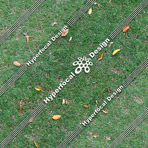 HFDJT_GrassLeaves01_Sml.jpg