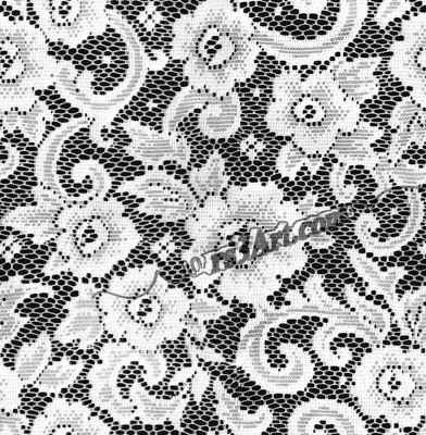 Texture PNG lace fabric see