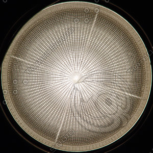 LAMP026.JPG