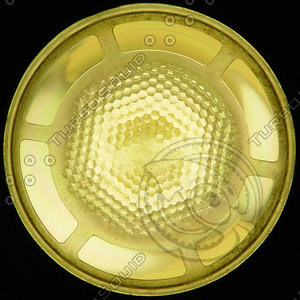 LAMP030.JPG
