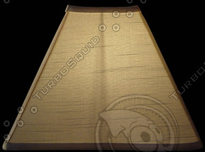 LAMP072.JPG