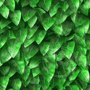 Leafy